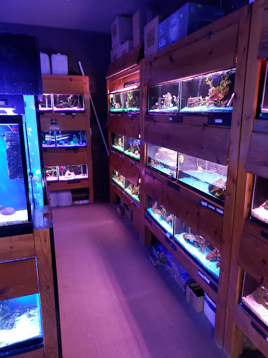 Pet Store «Animal Attraction», reviews and photos, 2518 11th Ave, Greeley, CO 80631, USA