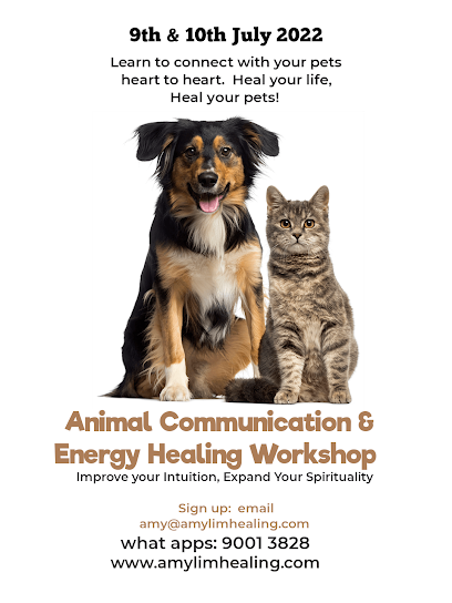 Animal Communication and Energy Healing Workshop sg