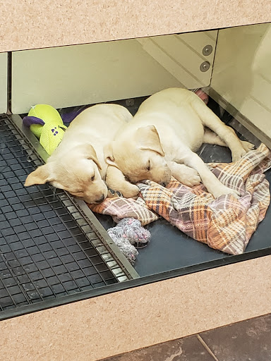 Pet Supply Store «Pets R Inn», reviews and photos, 3902 13th Ave S #3701, Fargo, ND 58103, USA