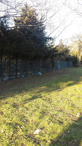 Science Museum «New York Hall Of Science», reviews and photos, 47-01 111th St, Queens, NY 11368, USA