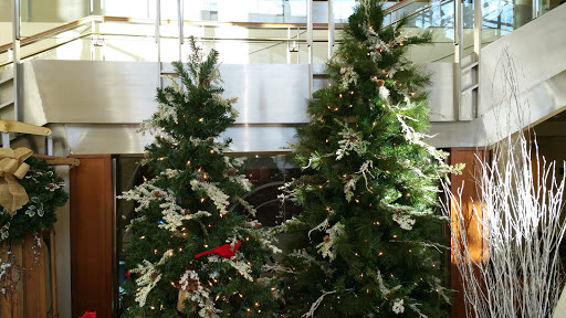 Performing Arts Theater «The Bushnell Performing Arts Center», reviews and photos, 166 Capitol Ave, Hartford, CT 06106, USA