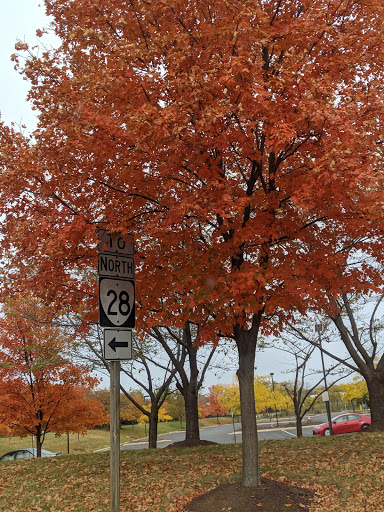 American Restaurant «Cracker Barrel Old Country Store», reviews and photos, 23030 Indian Creek Dr, Sterling, VA 20166, USA