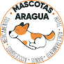 Adiestradores de gatos en Maracay