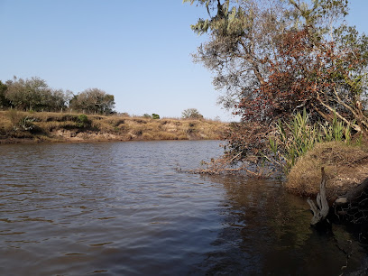 Paso de piriz