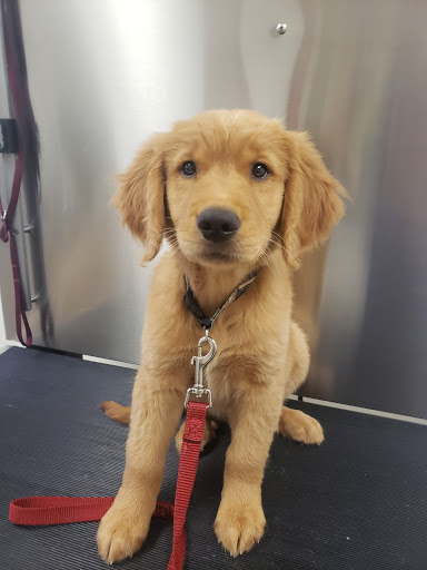 Fairmont Veterinary Hospital image