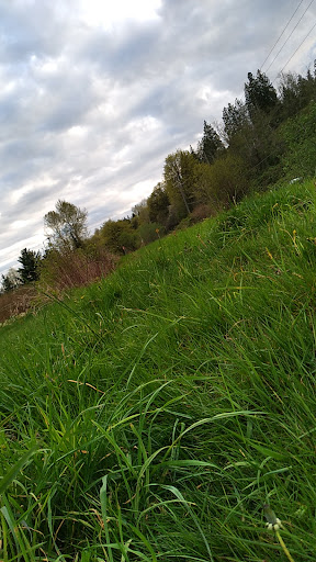 Park «Machias Trailhead Park», reviews and photos, 1626 Virginia St, Snohomish, WA 98290, USA