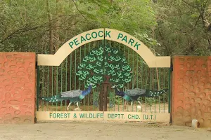 Peacock Park image