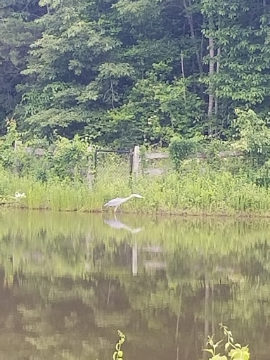 Park «Patawomeck Park», reviews and photos, 25 Chopawamsic Pkwy, Stafford, VA 22554, USA