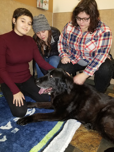 Kulshan Veterinary Hospital image