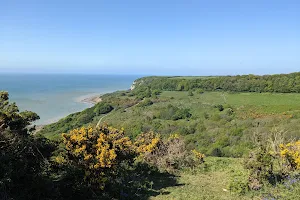 Hastings Country Park image