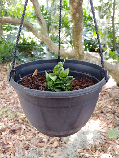 Hardware Store «Proctor Ace Hardware», reviews and photos, 5723 University Blvd W, Jacksonville, FL 32216, USA