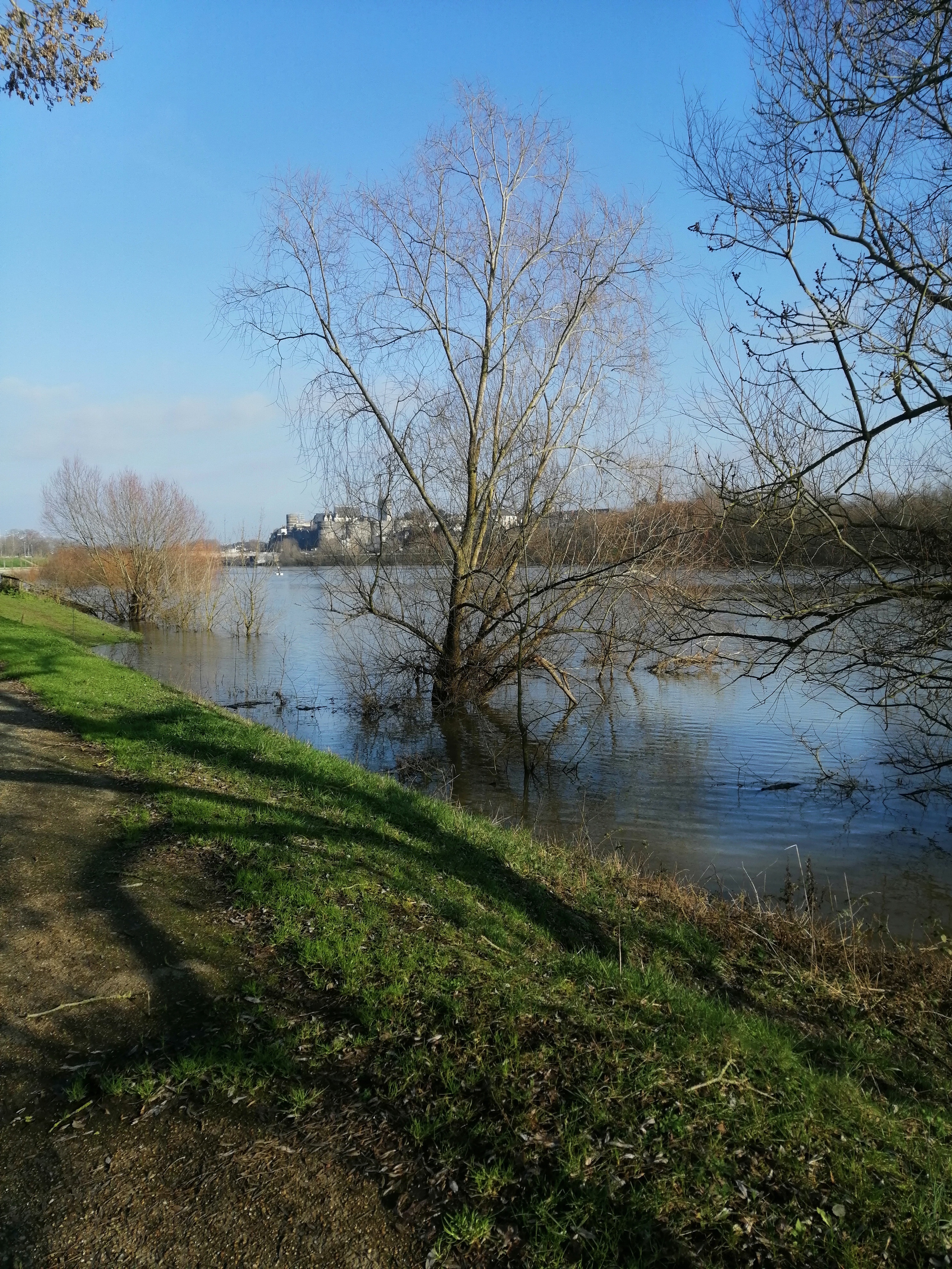 Photo n° 2 de l'avis de Cloé.e fait le 24/01/2023 à 18:37
