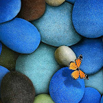 Photo n°1 de l'avis de Simona.u fait le 31/07/2019 à 04:57 sur le  B&B Florida House à Passignano sul Trasimeno