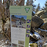 Photo n°7 de l'avis de Florian.o fait le 03/04/2020 à 08:02 sur le  Gipfelrestaurant Asenturm à Fichtelberg