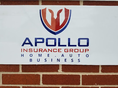 Apollo Insurance Group Inc