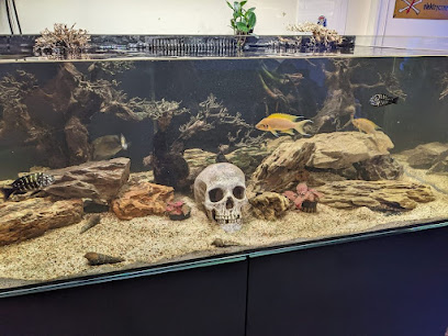 Aquatic Genie Custom Aquarium Installation and Maintenance