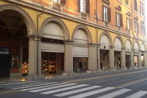 Ororo Bologna image
