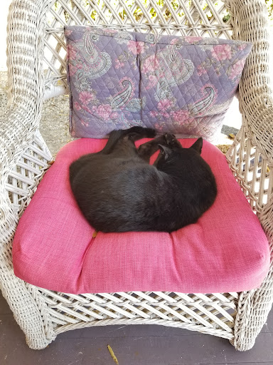 Metaphysical Supply Store «Soul Essentials», reviews and photos, 805 E Fort King St, Ocala, FL 34471, USA