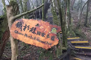 Taiwan Hemlock Forest Nature Trail image