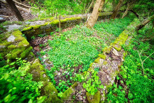 Park «Carter Park», reviews and photos, 1720 King Ave, Kings Mills, OH 45034, USA