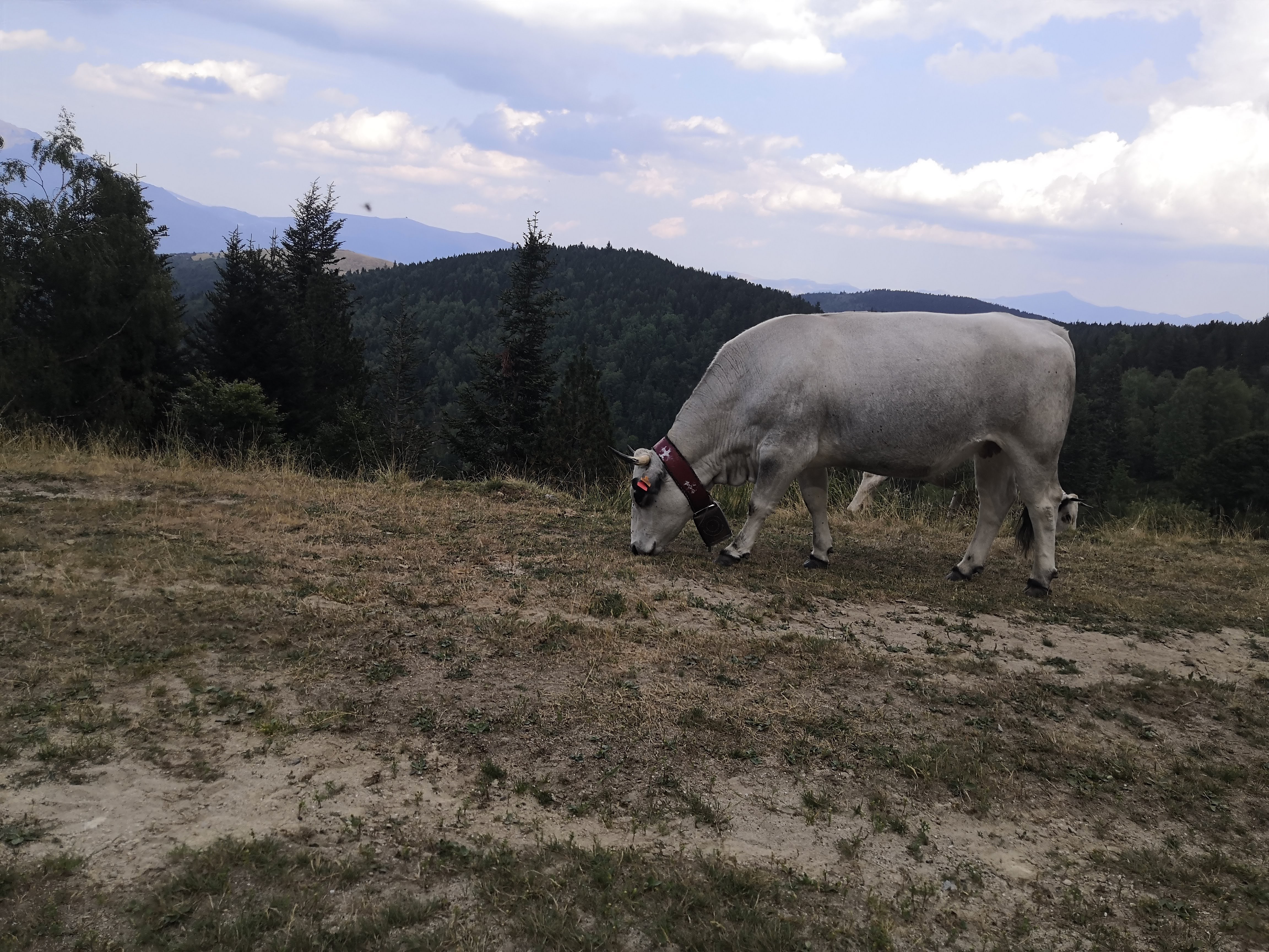 Photo n° 1 de l'avis de Catherine.a fait le 29/08/2022 à 18:14