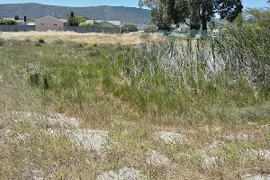 Bothasig Fynbos Nature Reserve image