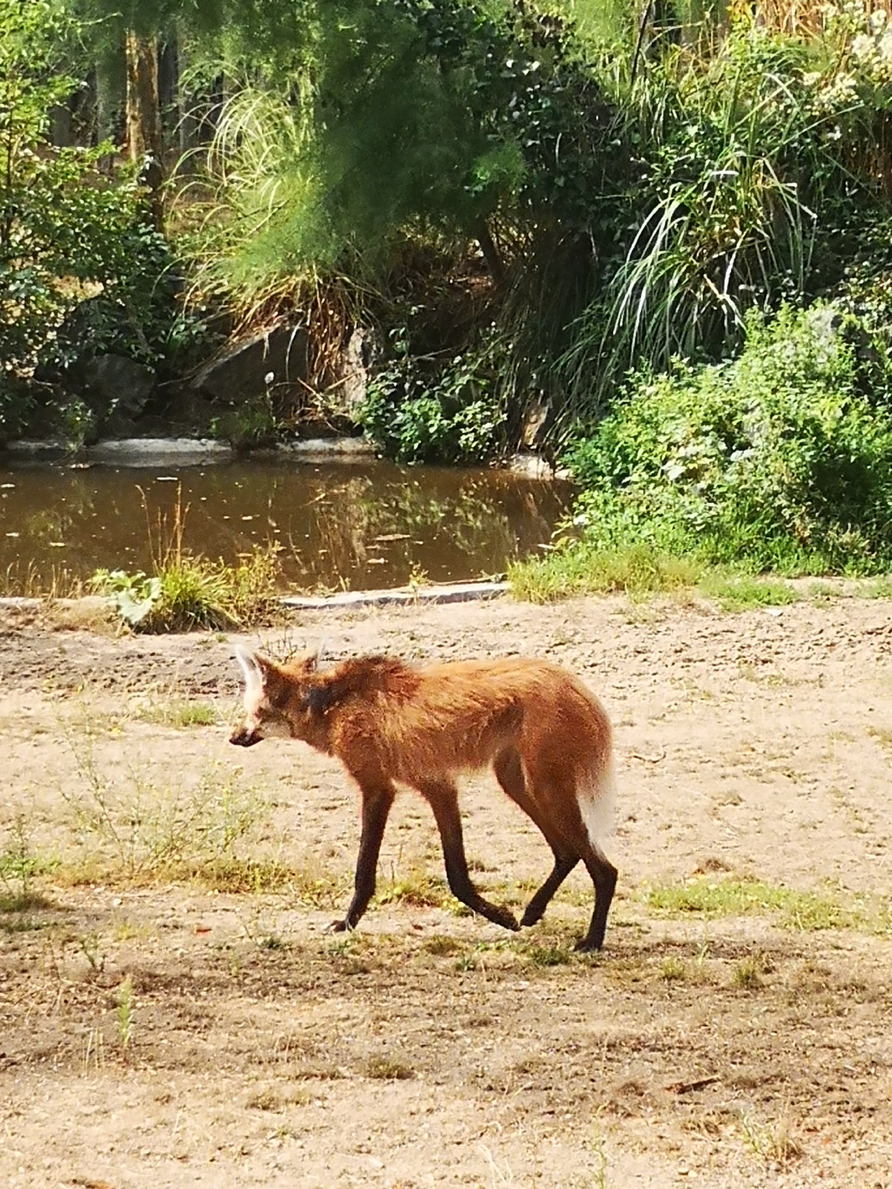 Photo n° 2 de l'avis de leïla.I fait le 20/08/2022 à 17:17