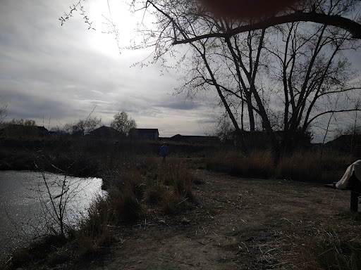 Nature Preserve «Wilson Springs Ponds», reviews and photos, 3209-3507 S Powerline Rd, Nampa, ID 83686, USA