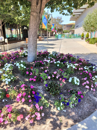 Shopping Mall «Del Monte Shopping Center», reviews and photos, 1410 Del Monte Center, Monterey, CA 93940, USA