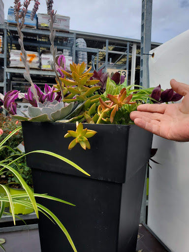 Home Improvement Store «The Home Depot», reviews and photos, 41 Nashua Rd, Londonderry, NH 03053, USA