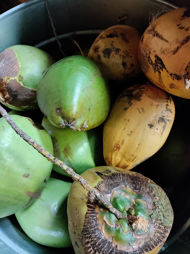 Modern European Restaurant «City Bistro Tea House & Coffee Company», reviews and photos, 1280 N Ponce De Leon Blvd, St Augustine, FL 32084, USA