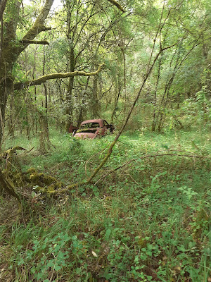 Ruisseau du Boulvé à Porte-du-Quercy