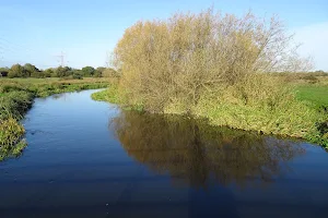 Staines Moor image