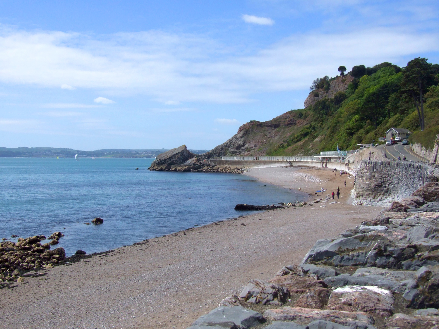 Photo of Meadfoot beach with spacious shore