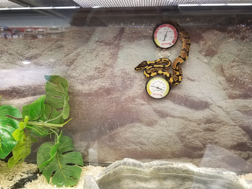 Pet Supply Store «Petco Animal Supplies», reviews and photos, 7040 Valley Creek Plaza, Woodbury, MN 55125, USA