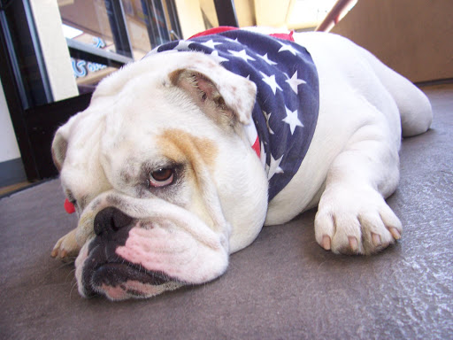 Auto Insurance Agency «San Diego Insurance», reviews and photos