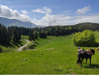 Ferme Equestre du Berbois à La Pesse