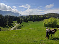 Ferme Equestre du Berbois La Pesse