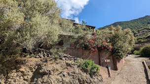 Photo n°16 de Gîte d'étape de Curzu à Osani ()