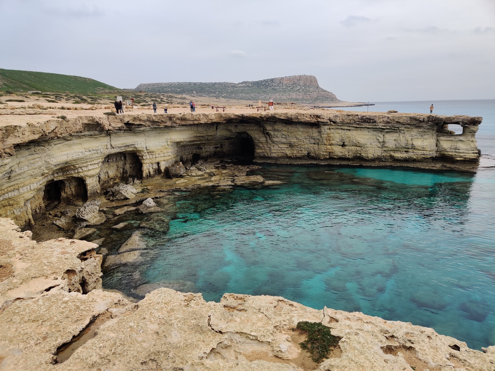 Sea Caves的照片 带有岩石覆盖表面