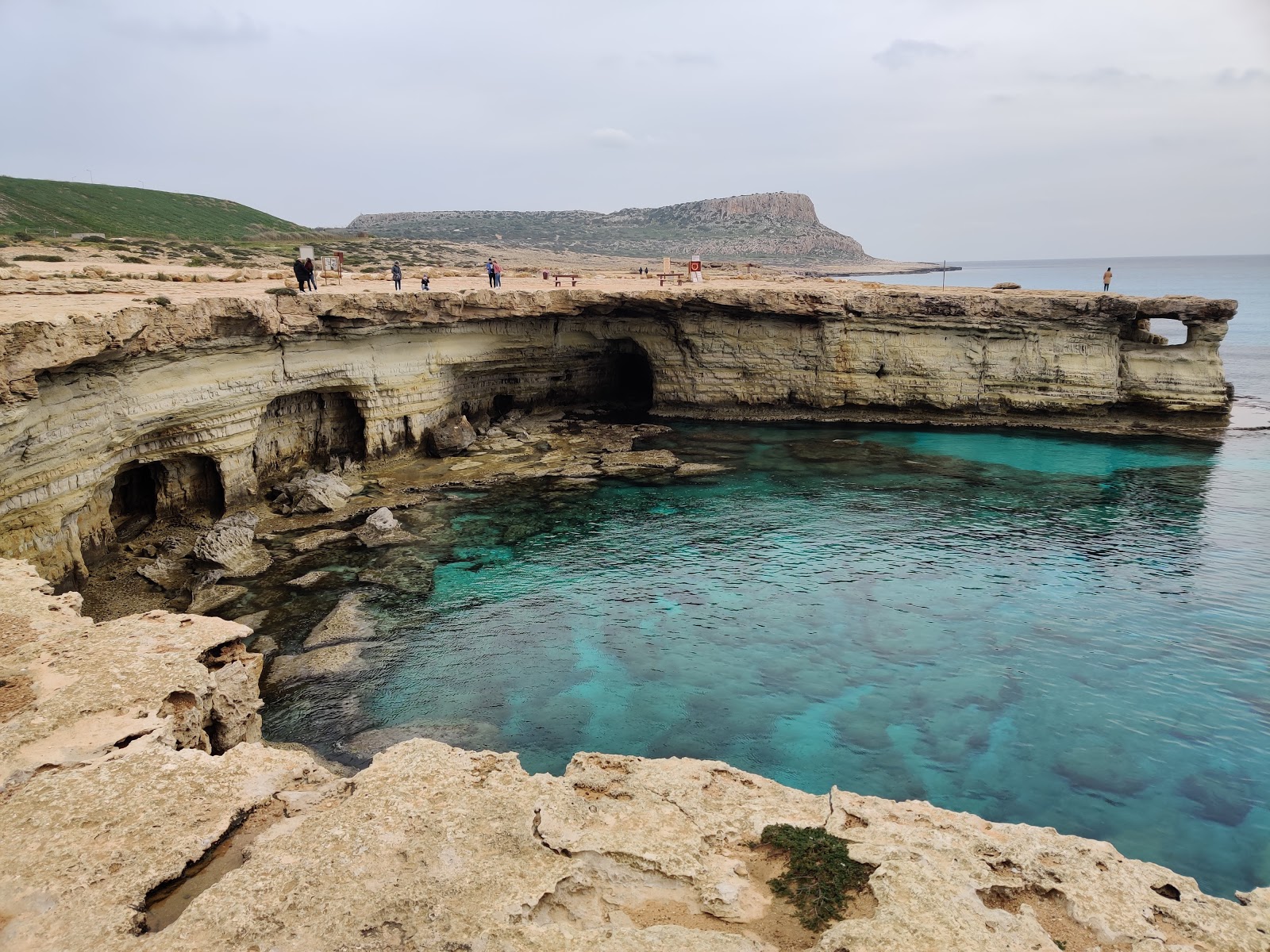 Valokuva Sea Cavesista. pinnalla kivinen maasto:n kanssa