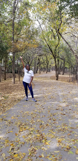 Park «J. C. Grant Neighborhood Park», reviews and photos, 8220 Wade Blvd, Frisco, TX 75034, USA