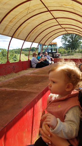 Golf Course «Pine Brook Golf Course», reviews and photos, 1 Covered Bridge Blvd, Manalapan Township, NJ 07726, USA