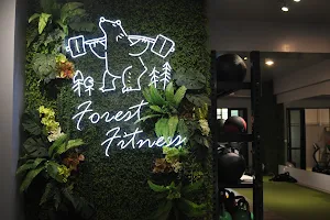 Forest Fitness 運動森林 image