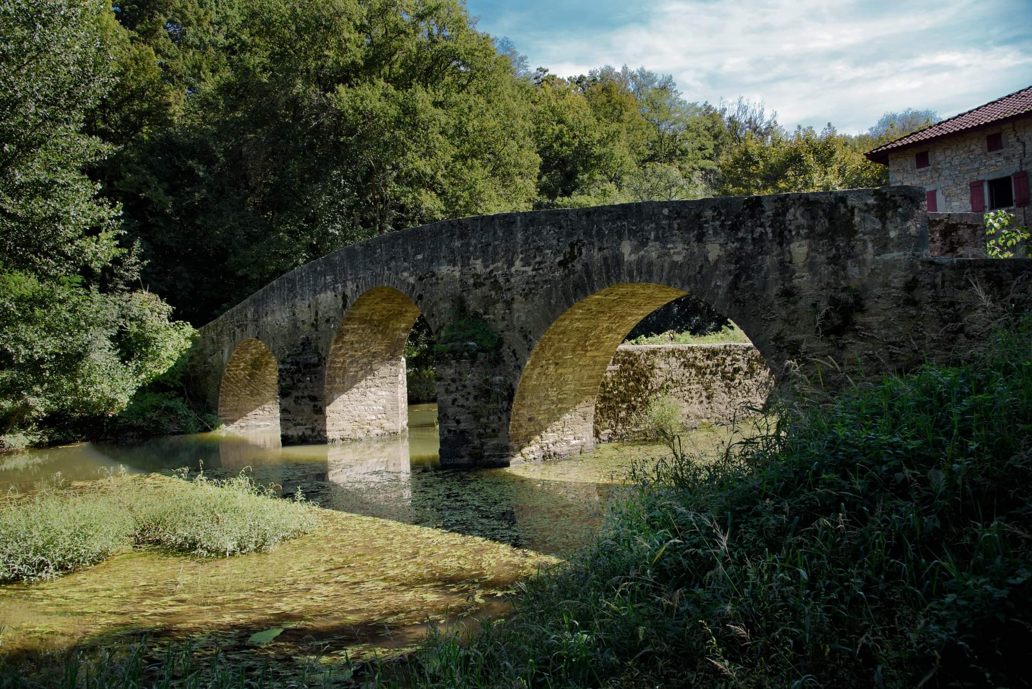 Photo n° 1 de l'avis de PAGOA.n fait le 14/10/2023 à 18:51