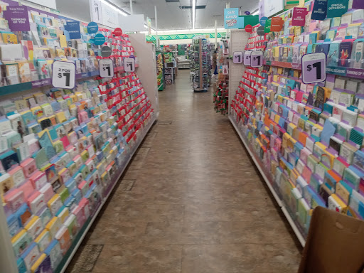 Dollar Store «Dollar Tree», reviews and photos, 9221 N 56th St, Temple Terrace, FL 33617, USA