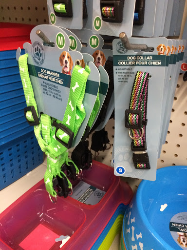 Dollar Store «Dollar Tree», reviews and photos, 1952 State Rd 44, New Smyrna Beach, FL 32168, USA