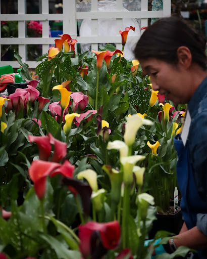 Hardware Store «McLendon Hardware», reviews and photos, 1111 Fryar Ave, Sumner, WA 98390, USA