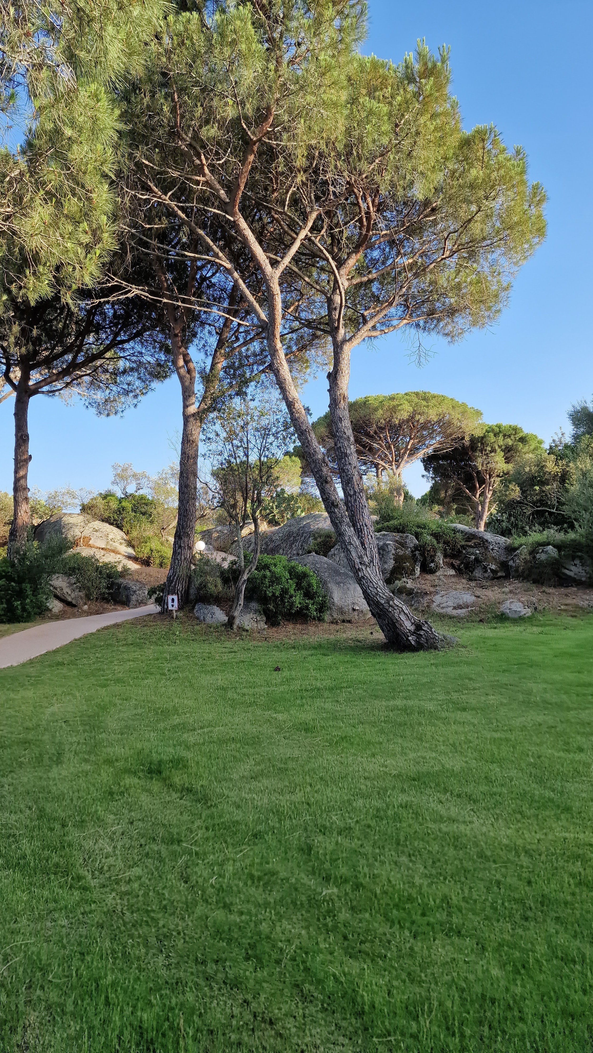 Photo n° 11 de l'avis de Loïc.a fait le 09/07/2022 à 17:06