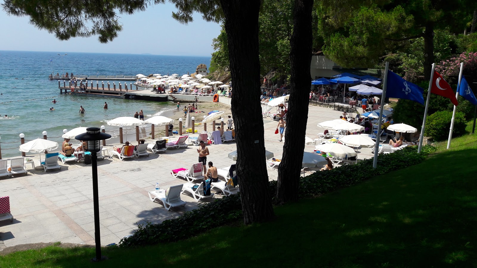 Darıca beach IV'in fotoğrafı ve yerleşim